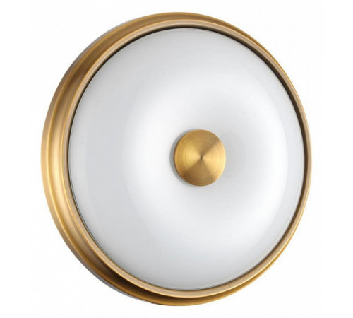 Настенно-потолочный светильник Odeon Light Pelow 4956/2