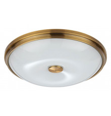 Настенно-потолочный светильник Odeon Light Pelow 4956/4