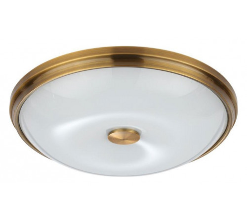 Настенно-потолочный светильник Odeon Light Pelow 4956/4