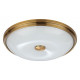 Настенно-потолочный светильник Odeon Light Pelow 4956/4
