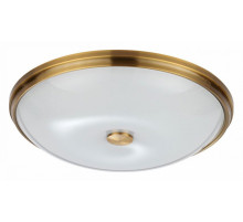 Настенно-потолочный светильник Odeon Light Pelow 4956/5