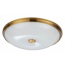 Настенно-потолочный светильник Odeon Light Pelow 4956/5