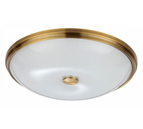 Настенно-потолочный светильник Odeon Light Pelow 4956/5 Настенно-потолочный светильник Odeon Light Pelow 4956/5