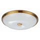 Настенно-потолочный светильник Odeon Light Pelow 4956/5