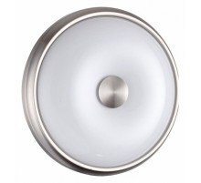 Настенно-потолочный светильник Odeon Light Pelow 4957/2