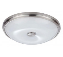 Настенно-потолочный светильник Odeon Light Pelow 4957/4