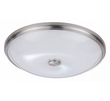 Настенно-потолочный светильник Odeon Light Pelow 4957/5