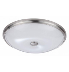 Настенно-потолочный светильник Odeon Light Pelow 4957/5