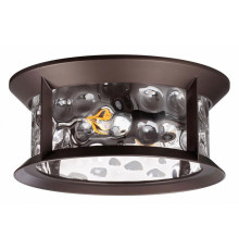 Уличный потолочный светильник Odeon Light Mavret 4961/2C