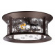 Уличный потолочный светильник Odeon Light Mavret 4961/2C