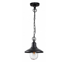 Уличный подвесной светильник Odeon Light Campa 4965/1
