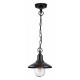 Уличный подвесной светильник Odeon Light Campa 4965/1