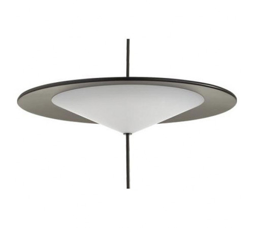 Подвесной светильник Odeon Light Steka 5012/16L Подвесной светильник Odeon Light Steka 5012/16L