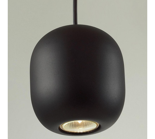 Подвесной светильник Odeon Light Cocoon 5060/1BA Подвесной светильник Odeon Light Cocoon 5060/1BA