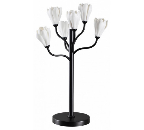 Настольная лампа Odeon Light Gardi Modern 5090/6T Настольная лампа Odeon Light Gardi Modern 5090/6T