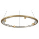Подвесная люстра Odeon Light Hightech Cayon 7002/55L