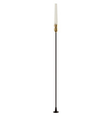 Ландшафтный светильник Odeon Light Canna 7020/4GA