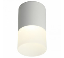 Потолочный светодиодный светильник Omnilux Ercolano OML-100009-05