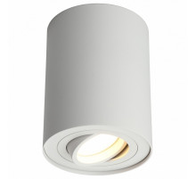Потолочный светильник Omnilux Pantaleo OML-101009-01