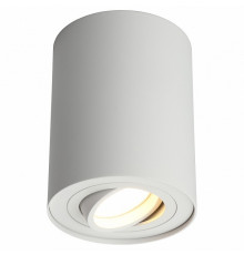 Потолочный светильник Omnilux Pantaleo OML-101009-01