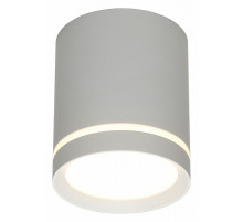 Накладной светильник Omnilux Capurso OML-102429-05