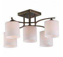 Потолочная люстра Omnilux Pisticci OML-55317-05