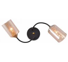 Потолочный светильник Reluce 01608-0.3-02 BK+BRASS