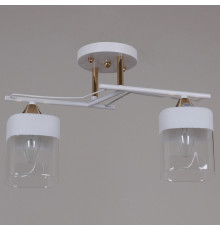 Потолочный светильник Reluce 06096-0.3-02 WH+FG