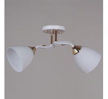 Потолочный светильник Reluce 06104-0.3-02 WH+FG