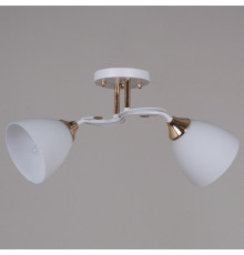 Потолочный светильник Reluce 06104-0.3-02 WH+FG