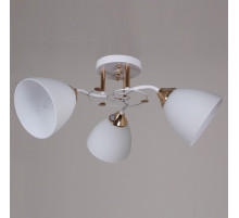 Потолочная люстра Reluce 06104-0.3-03 WH+FG