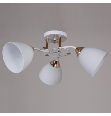 Потолочная люстра Reluce 06104-0.3-03 WH+FG