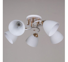 Потолочная люстра Reluce 06104-0.3-05 WH+FG