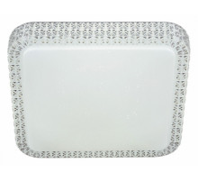 Потолочный светильник Reluce 07197-9.2-48WM