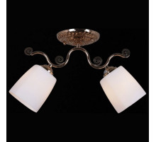 Потолочный светильник Reluce 31409-0.3-02