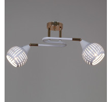 Потолочный светильник Reluce 70059-3.3-02 FG+WH