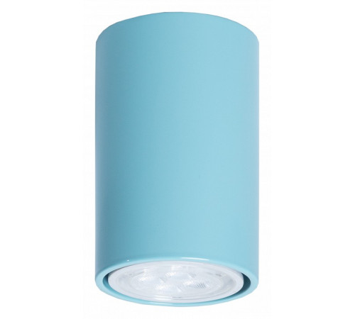 Потолочный светильник TopDecor Tubo6 P1 29 Потолочный светильник TopDecor Tubo6 P1 29