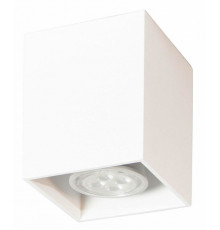 Потолочный светильник TopDecor Tubo6 SQ P1 10