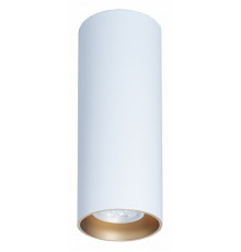 Потолочный светильник TopDecor Tubo8 P2 10 G