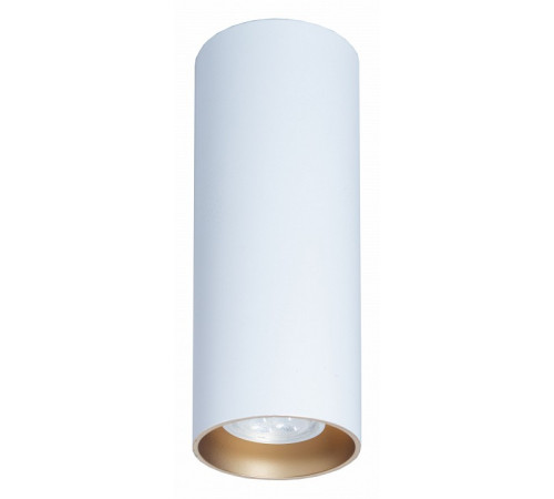 Потолочный светильник TopDecor Tubo8 P2 10 G Потолочный светильник TopDecor Tubo8 P2 10 G