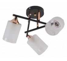 Потолочная люстра Rivoli Fiona 3163-303 Б0059259