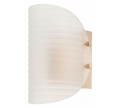 Настенный светильник Rivoli Mariana 3178-210 Б0066487