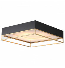 Накладная люстра ST-Luce SL1127.422.05