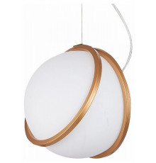 Подвесной светильник ST Luce Acerra SL1181.353.01