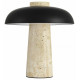 Настольная лампа ST Luce Earthy SL1194.424.01