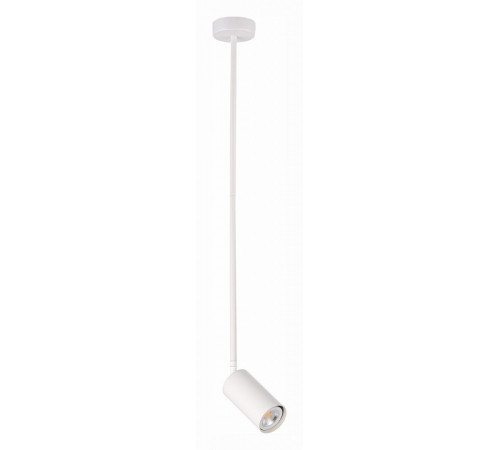 Подвесной светильник ST Luce Sormano SL1206.503.01