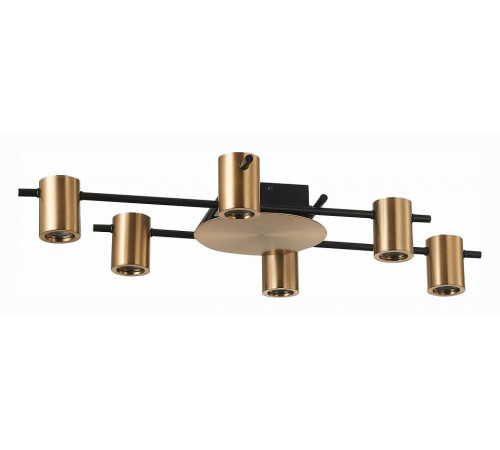 Потолочная люстра ST Luce Veroli SL1207.402.06