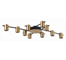 Потолочная люстра ST Luce Veroli SL1207.402.10