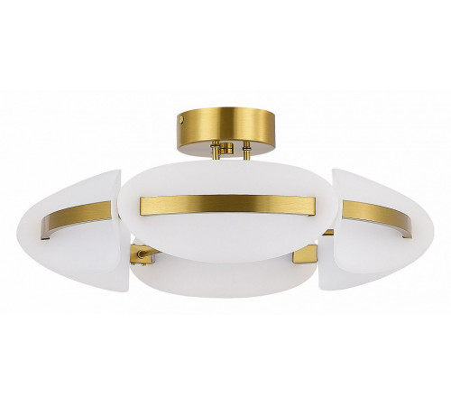 Потолочная люстра ST Luce Etoile SL1304.302.45 Потолочная люстра ST Luce Etoile SL1304.302.45