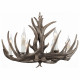Подвесная люстра ST Luce Corna SL154.703.06